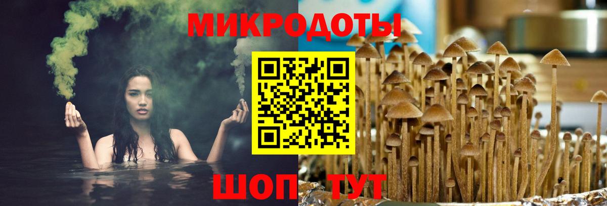 Ижевск  Псилоцибиновые грибы Magic Shrooms  Вход с VPN 